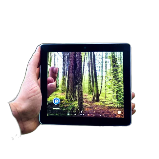 staff, forest, person, reviewing transparent PNG cut-out