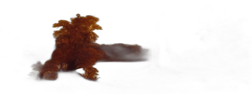 dragon, hair, creature, animal transparent PNG cut-out