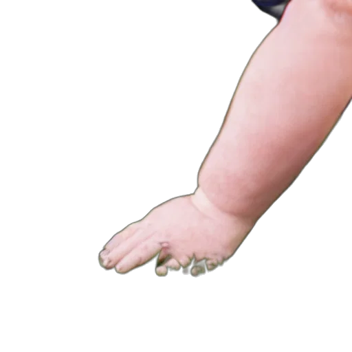 shoes, creature, animal, weapon transparent PNG cut-out