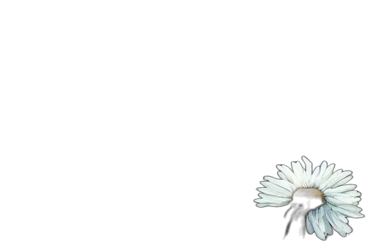 flower, jewelry, crown, staff transparent PNG cut-out