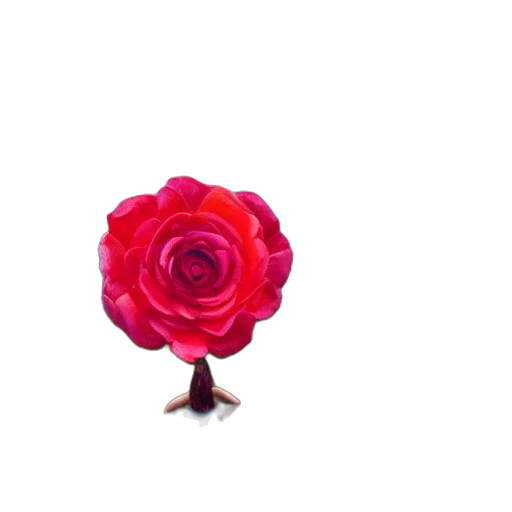flower, crown, jewelry, staff transparent PNG cut-out