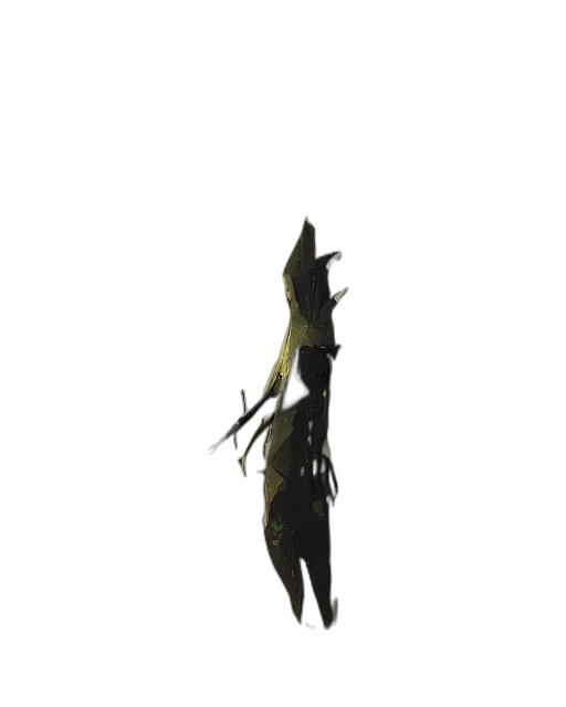 creature, staff, dragon, weapon transparent PNG cut-out
