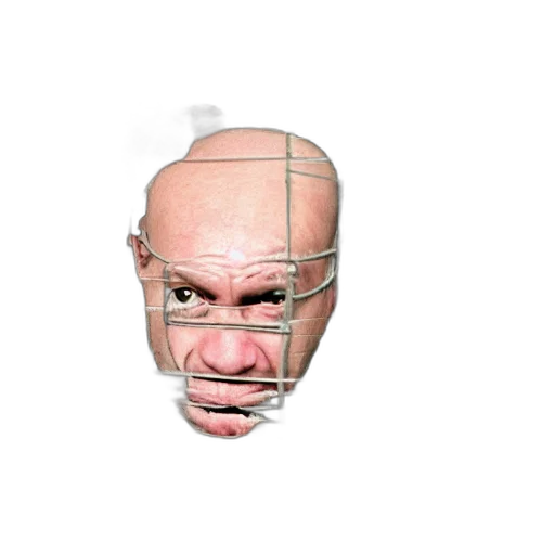 face, mask, creature, animal transparent PNG cut-out
