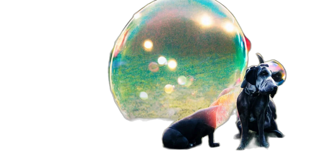 umbrella, creature, mask, animal transparent PNG cut-out