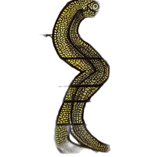 staff, animal, creature, jewelry transparent PNG cut-out