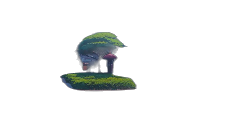 hat, tree, crown, creature transparent PNG cut-out