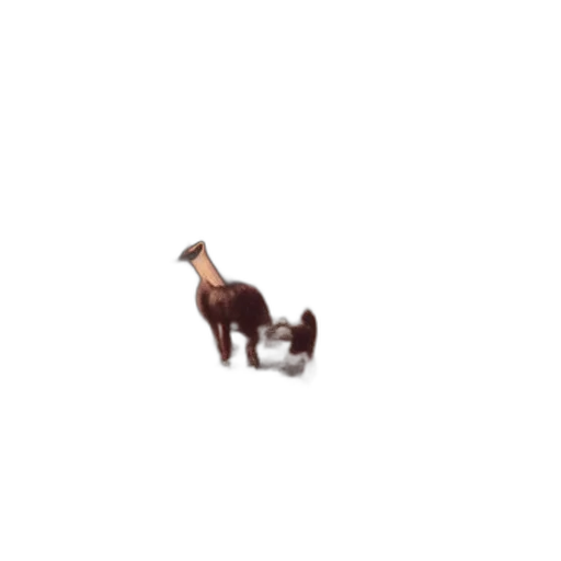 animal, creature, staff, furniture transparent PNG cut-out
