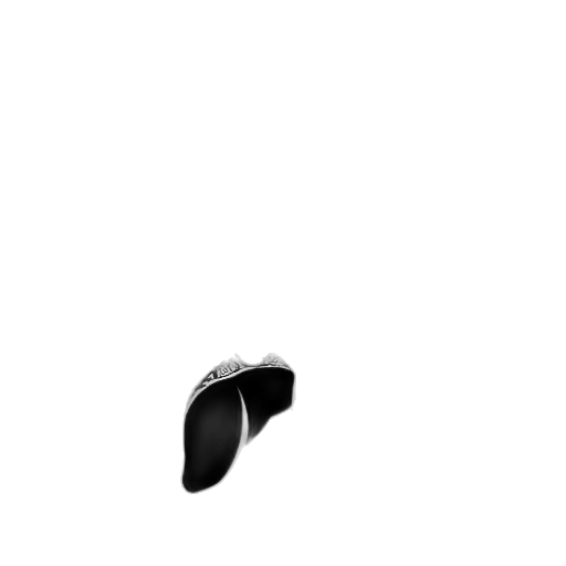 shoes, hat, hair, face transparent PNG cut-out