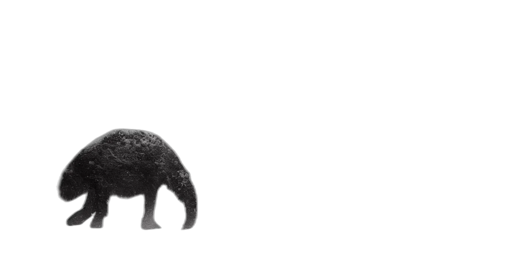 animal, creature, hair, mask transparent PNG cut-out