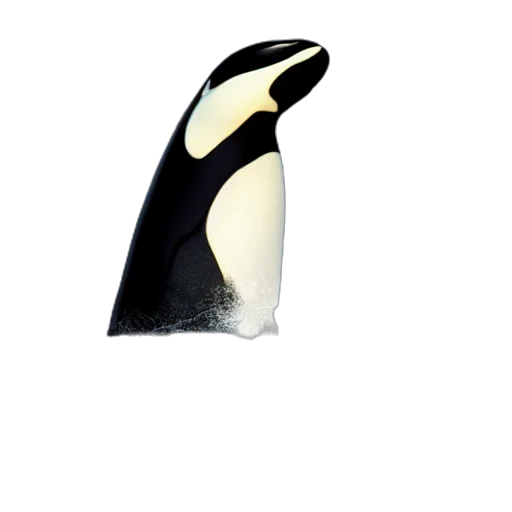 animal, bottle, jewelry, food transparent PNG cut-out