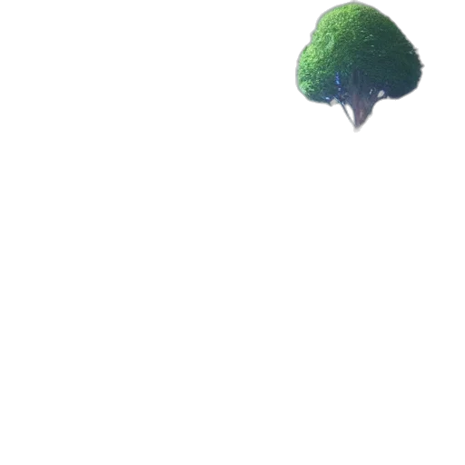 tree, umbrella, hat, creature transparent PNG cut-out