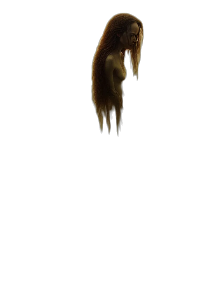 hair, creature, animal, face transparent PNG cut-out