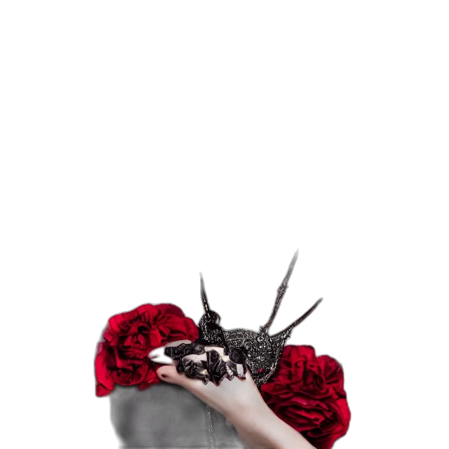 crown, hat, shoes, mask transparent PNG cut-out