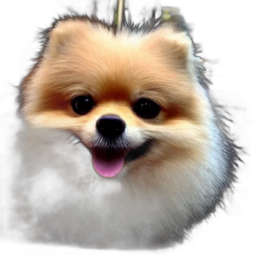 animal, staff, creature, face transparent PNG cut-out