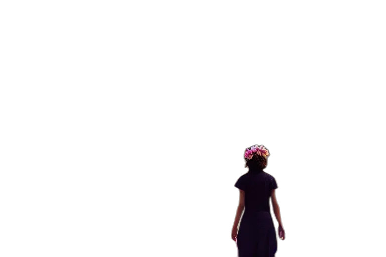 dress, crown, hat, umbrella transparent PNG cut-out