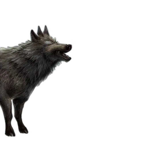 animal, creature, dragon, hair transparent PNG cut-out