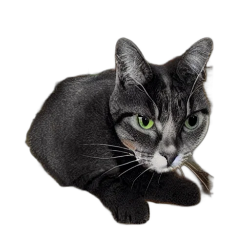 animal, staff, creature, face transparent PNG cut-out