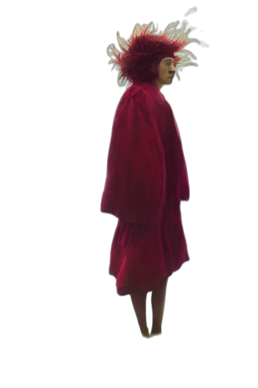 dress, jacket, hat, umbrella transparent PNG cut-out