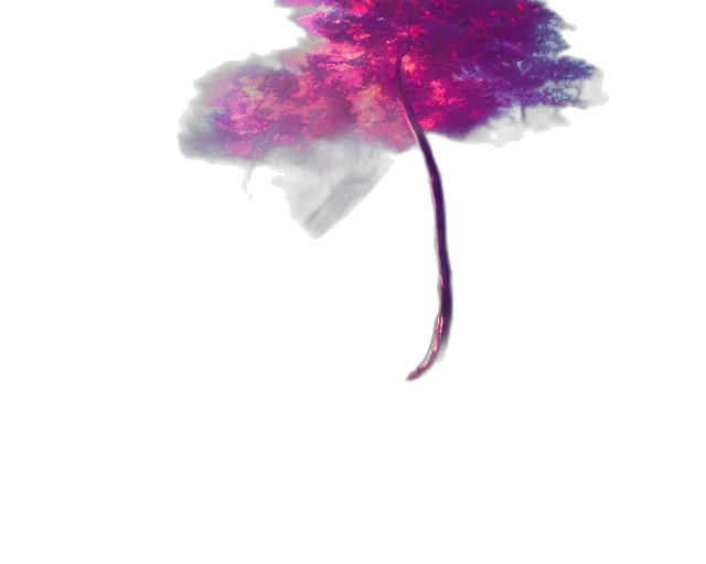 flower, crown, umbrella, tree transparent PNG cut-out