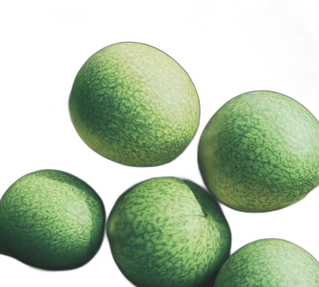 food, 3d render, photorealistic, green transparent PNG cut-out