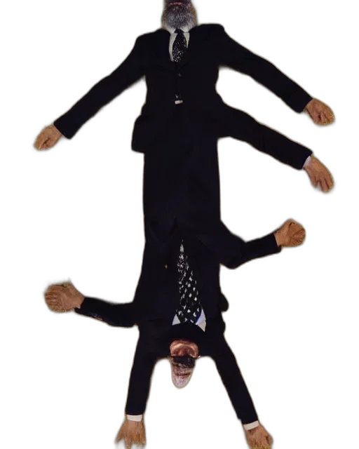 jacket, creature, staff, animal transparent PNG cut-out