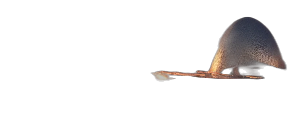staff, weapon, sword, umbrella transparent PNG cut-out