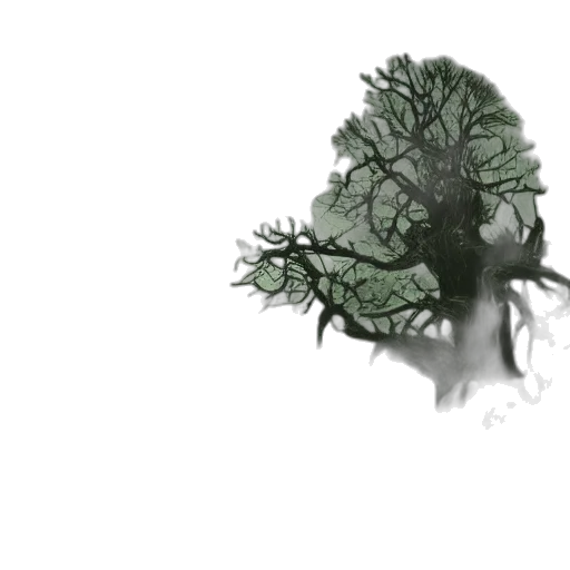 crown, tree, hair, dragon transparent PNG cut-out