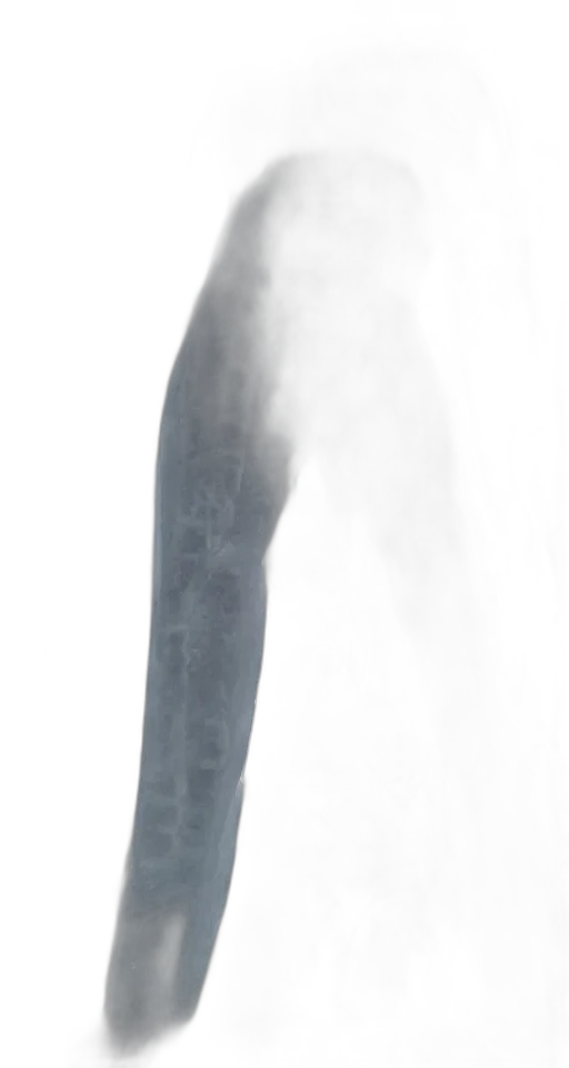 sword, weapon, staff, hair transparent PNG cut-out