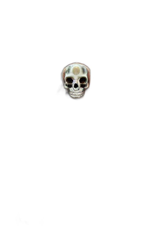 jewelry, mask, face, crown transparent PNG cut-out