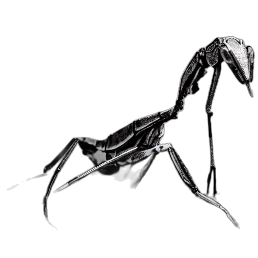 creature, animal, dragon, robot transparent PNG cut-out