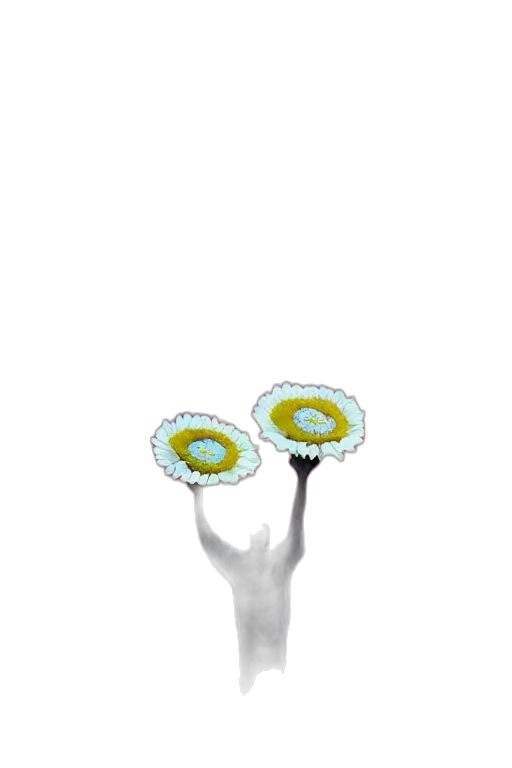 jewelry, flower, staff, crown transparent PNG cut-out