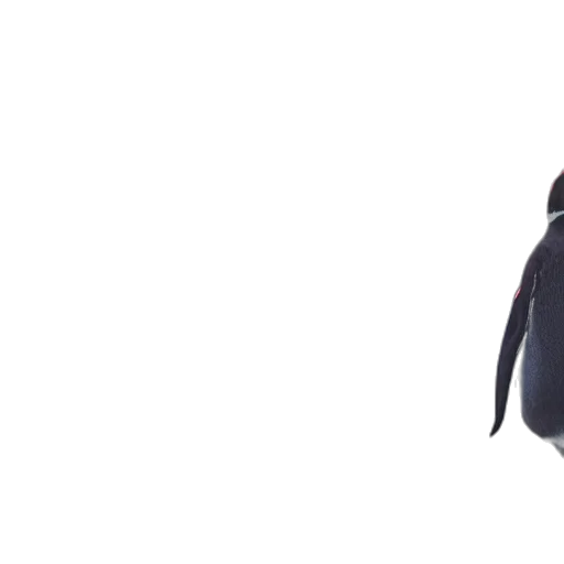 jacket, umbrella, dress, staff transparent PNG cut-out