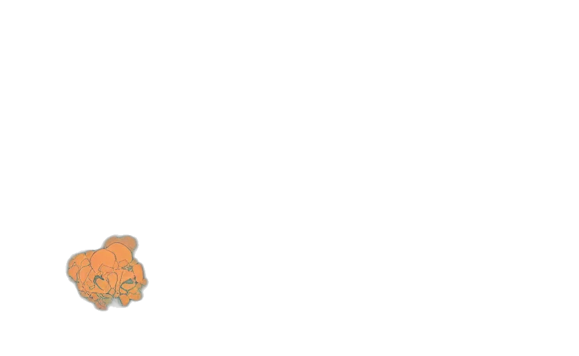 car, food, animal, dragon transparent PNG cut-out