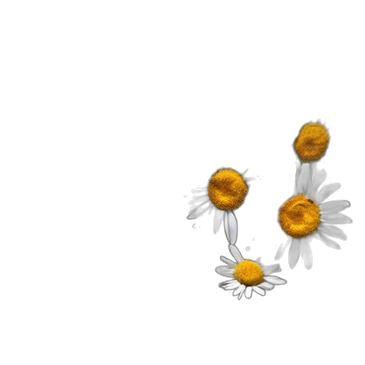 flower, jewelry, crown, weapon transparent PNG cut-out