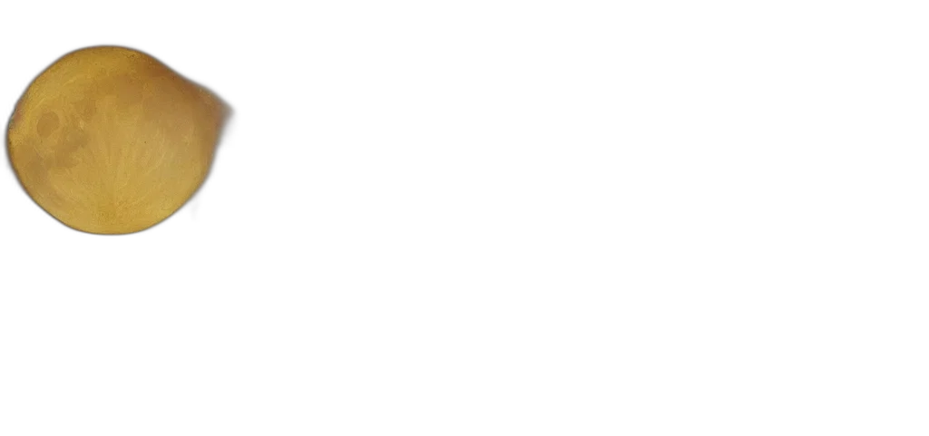 staff, face, monochrome, pastel transparent PNG cut-out