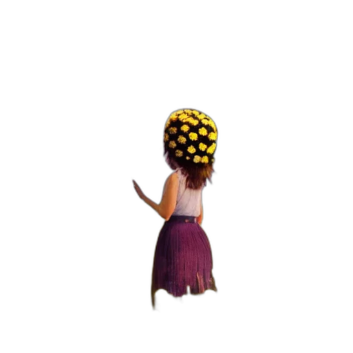 hat, crown, creature, hair transparent PNG cut-out
