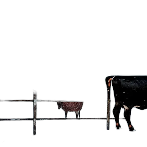 animal, sword, weapon, food transparent PNG cut-out