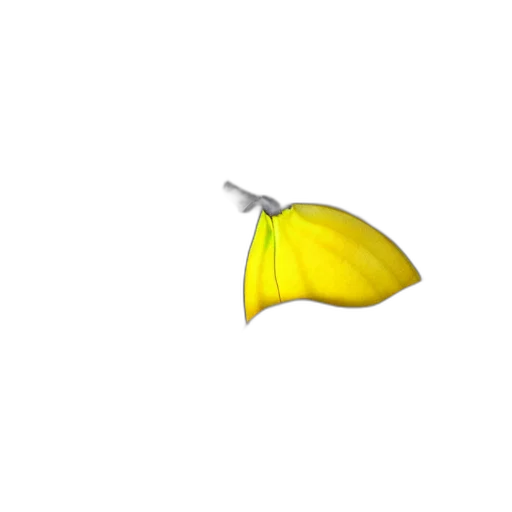 umbrella, weapon, flower, hat transparent PNG cut-out