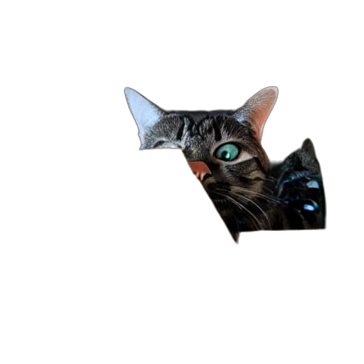 animal, robot, creature, staff transparent PNG cut-out