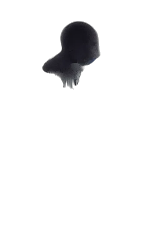 animal, creature, hat, mask transparent PNG cut-out