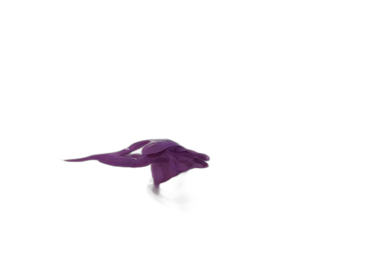 dragon, umbrella, hat, flower transparent PNG cut-out