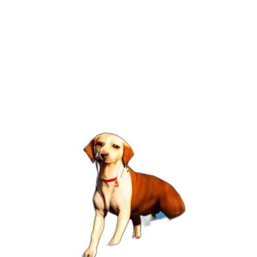 animal, staff, creature, weapon transparent PNG cut-out