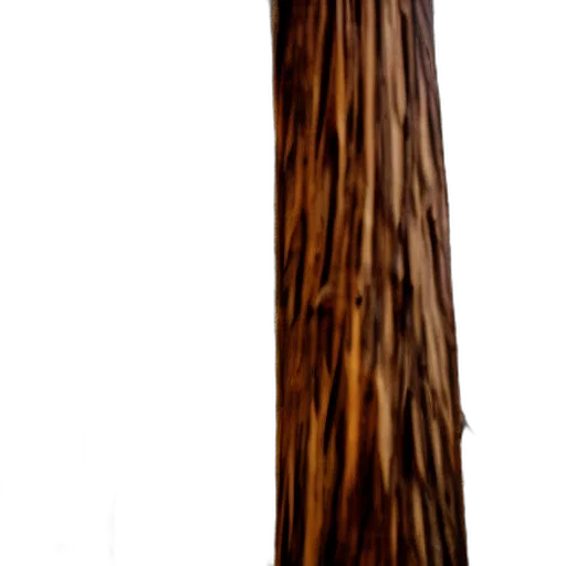 staff, tree, sword, hair transparent PNG cut-out