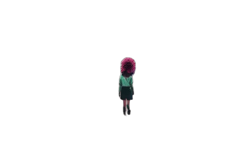 dress, hat, hair, jacket transparent PNG cut-out
