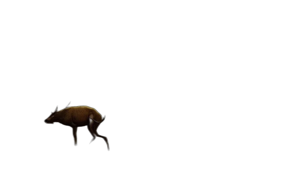 animal, creature, furniture, hair transparent PNG cut-out