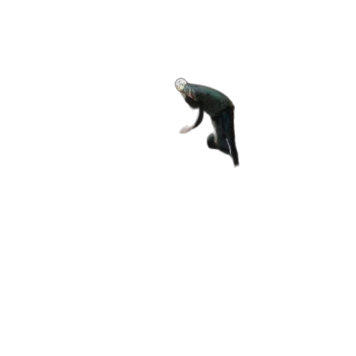 creature, animal, dragon, weapon transparent PNG cut-out