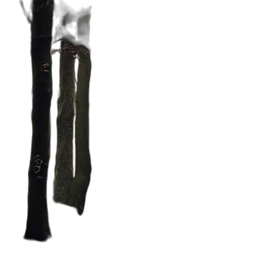 staff, sword, weapon, umbrella transparent PNG cut-out