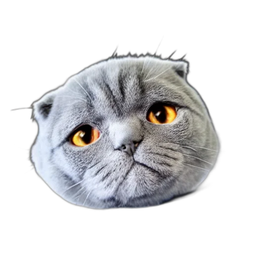 hat, face, animal, staff transparent PNG cut-out