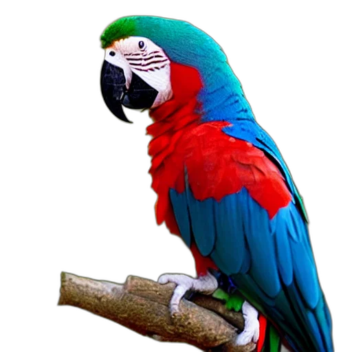 animal, staff, jewelry, mask transparent PNG cut-out
