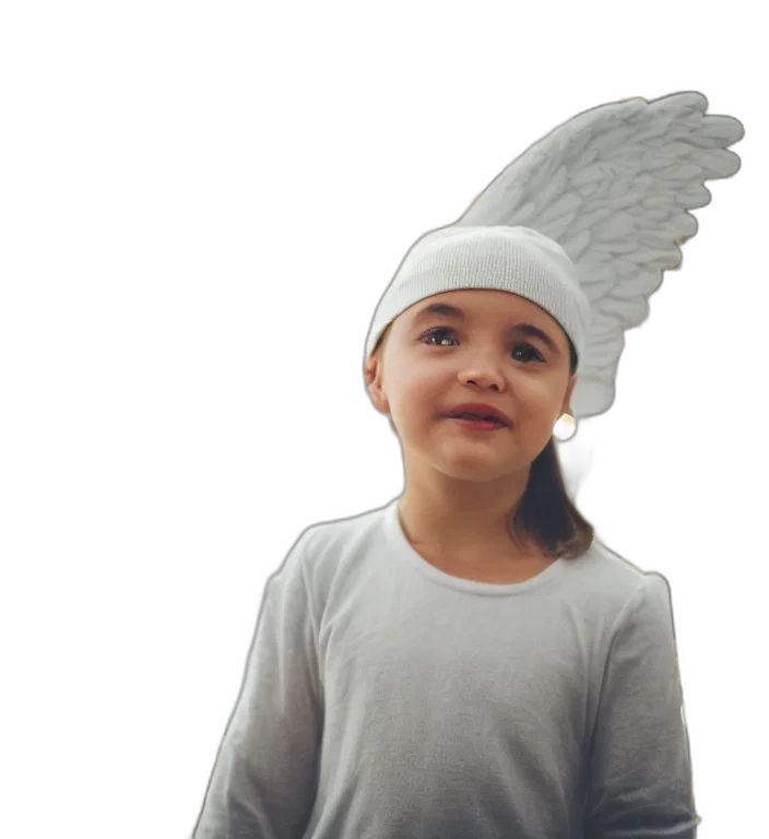 hat, crown, staff, face transparent PNG cut-out
